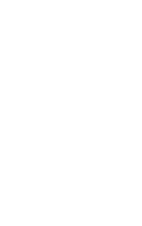 about NetLZ