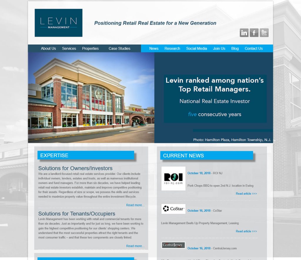 Levin Management NetLZ Consulting