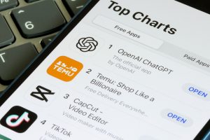 chat gpt shopping future of ecommerce seo in NJ